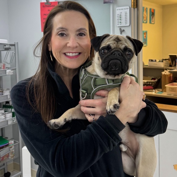 kimthevet